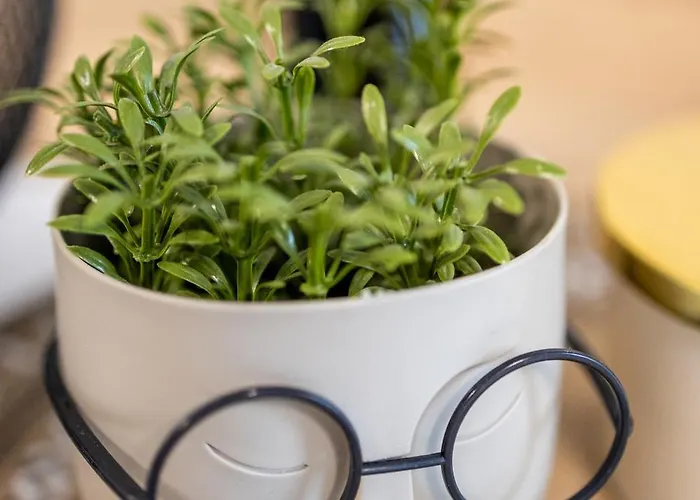 Apartamento Cozy 1br In Heart Of Oborishte With Private Parking Sófia